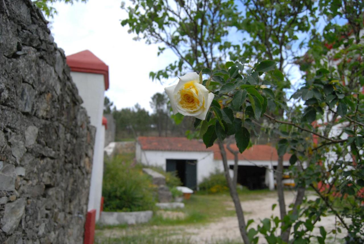 Villa Prédio na Amêndoa Extérieur photo